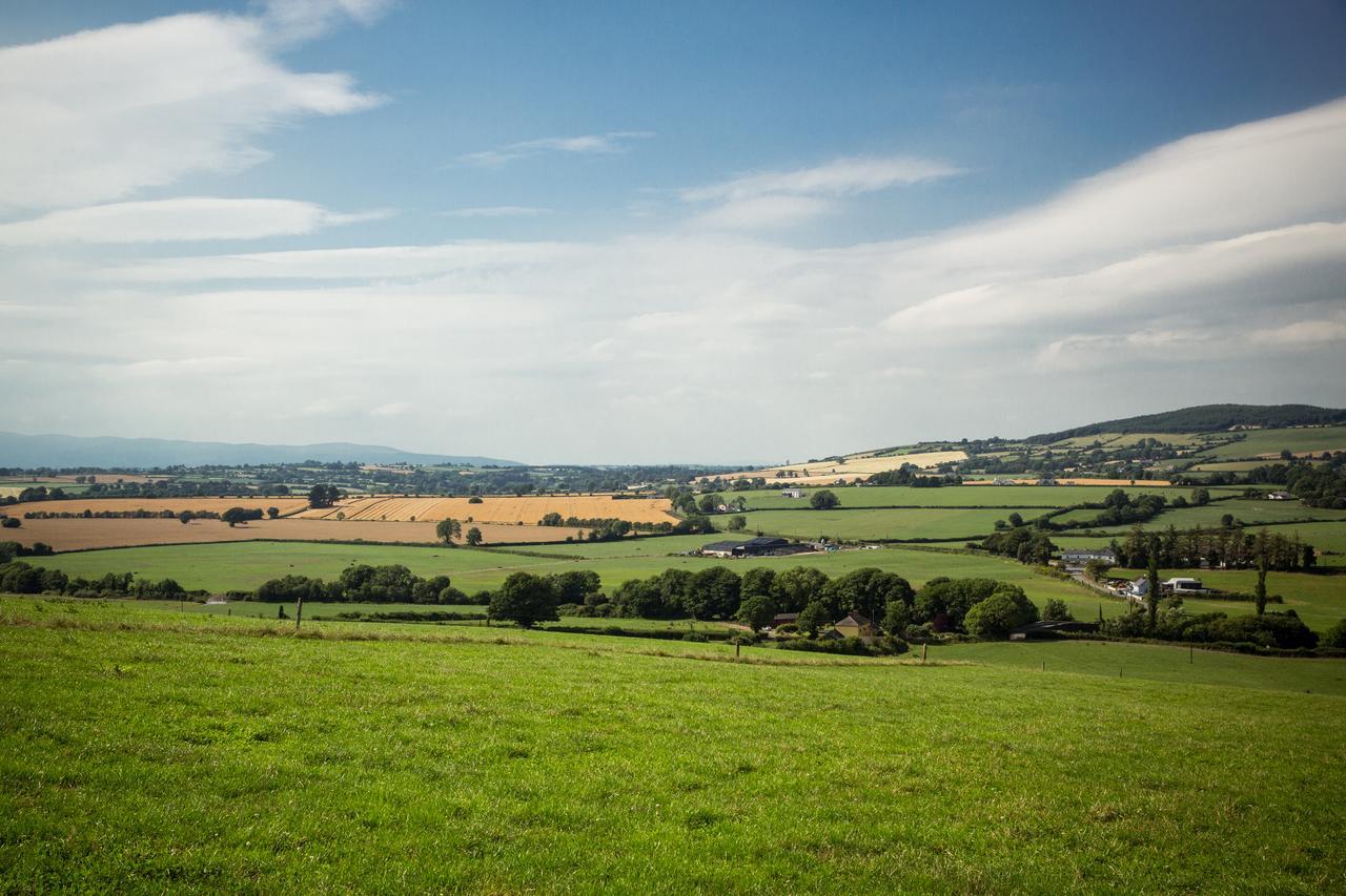 Glasha Farmhouse Affittacamere Ballymacarbry Esterno foto