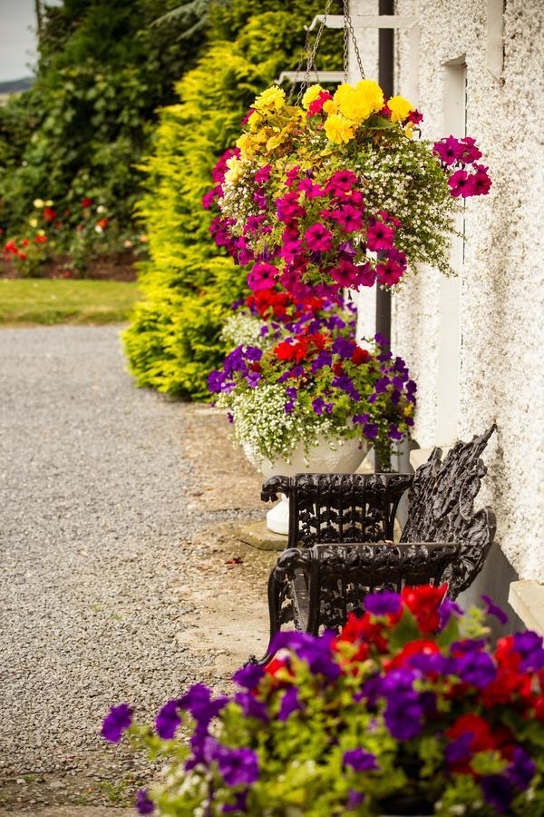Glasha Farmhouse Affittacamere Ballymacarbry Esterno foto